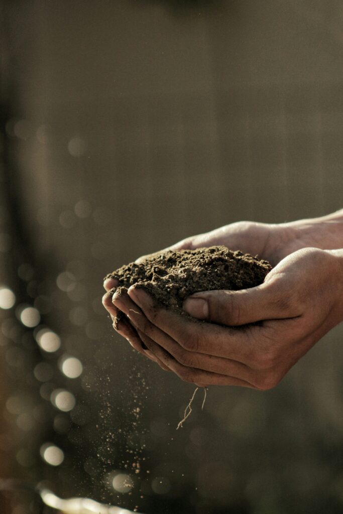 photo of a person's hand holding piece of soil